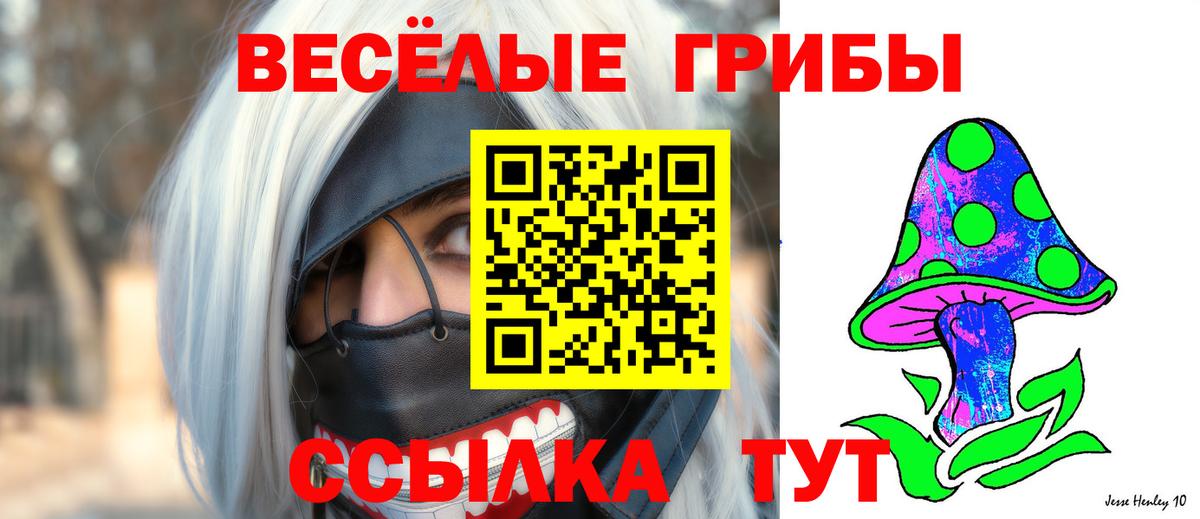 Дятьково  Псилоцибиновые грибы GOLDEN TEACHER  хочу наркоту  Вход с VPN 